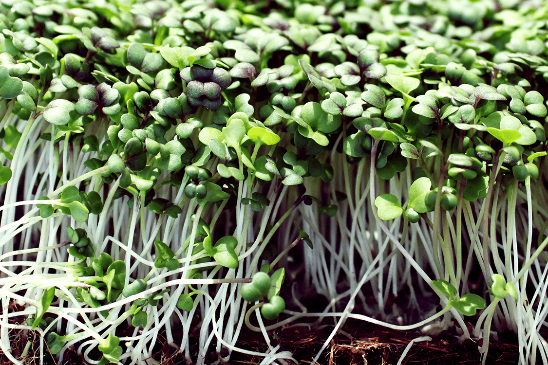 ky开元集团官网入口