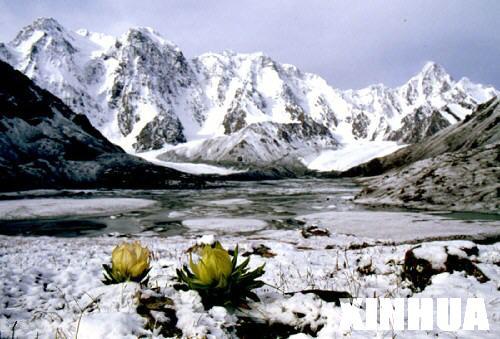 京冀首条轨交线路规划公布 燕郊至国贸仅8站|KY开元·(中国)集团(图2) ky开元集团官网入口