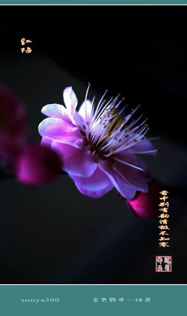 京冀首条轨交线路规划公布 燕郊至国贸仅8站|KY开元·(中国)集团(图3) KY开元集团官网