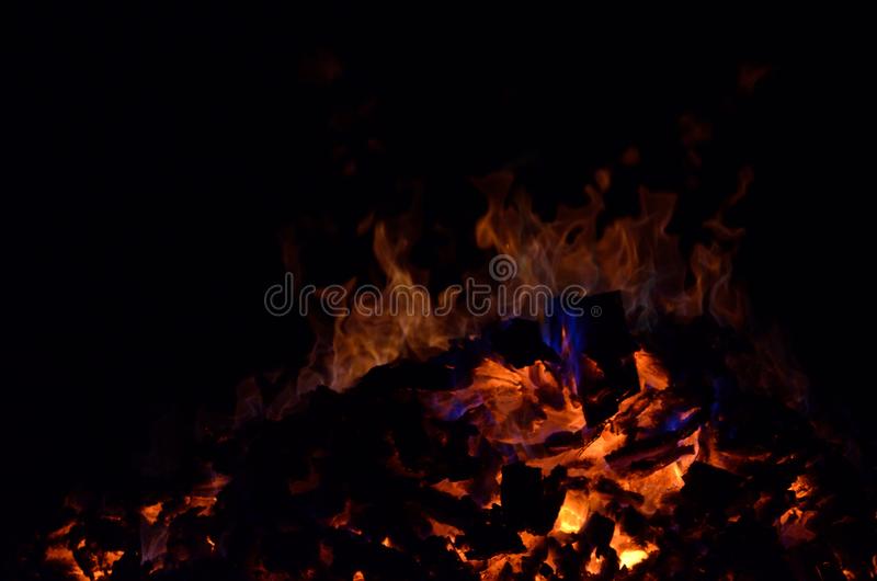 ky开元·(中国)集团官网