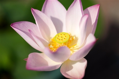 KY开元·(中国)集团