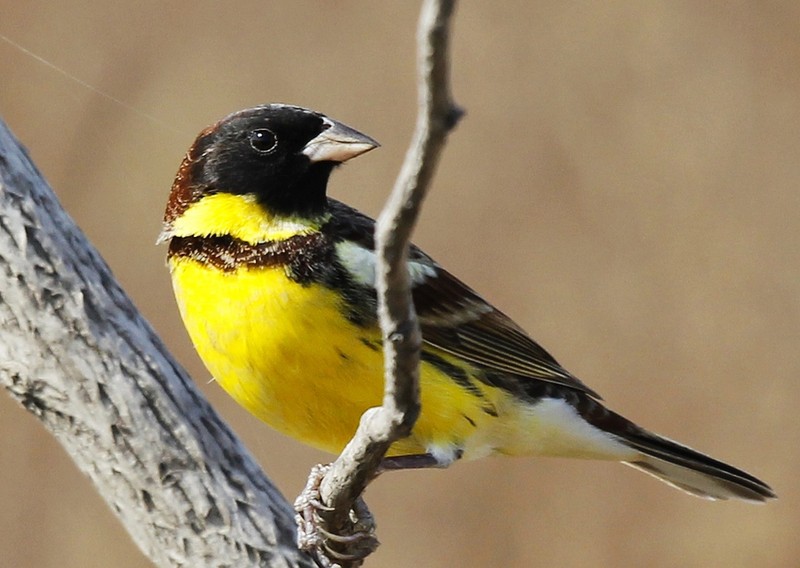 KY开元·(中国)集团