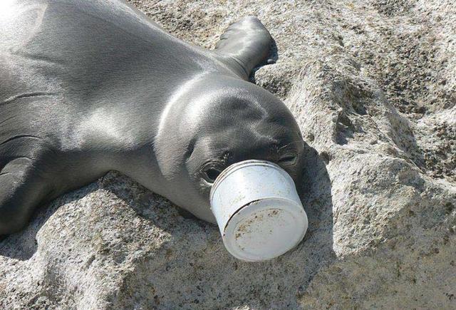 ky开元集团官网入口