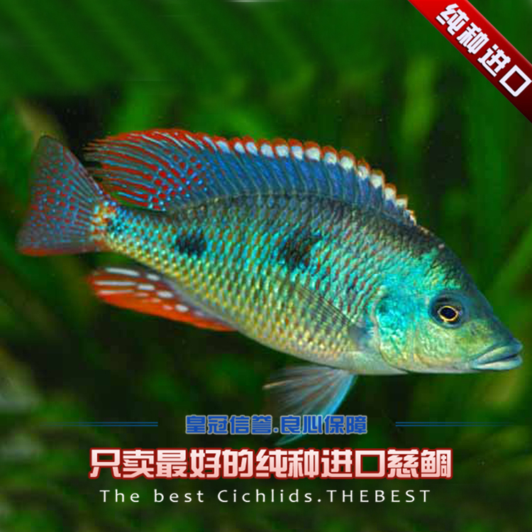 KY开元·(中国)集团