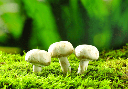 ky开元·(中国)集团官网