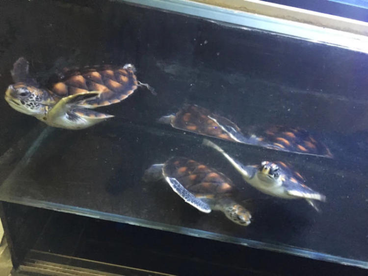 ky开元集团官网入口