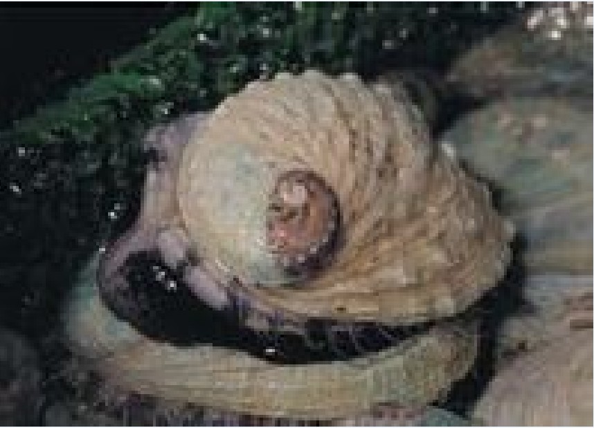 ky开元集团官网入口