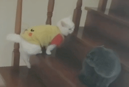 KY开元·(中国)集团