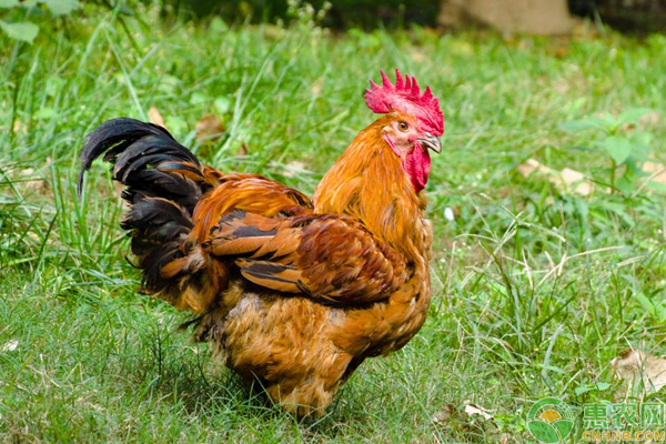 KY开元集团官网