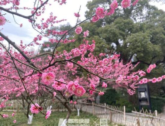 KY开元·(中国)集团:3年身价暴涨11倍!世界杯23岁飞翼17次加速碾压五大名将(图2) KY开元·(中国)集团