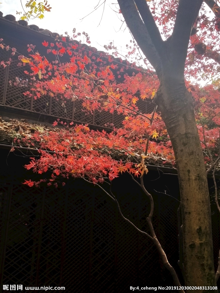 KY开元·(中国)集团:3年身价暴涨11倍!世界杯23岁飞翼17次加速碾压五大名将(图4) ky开元集团官网入口