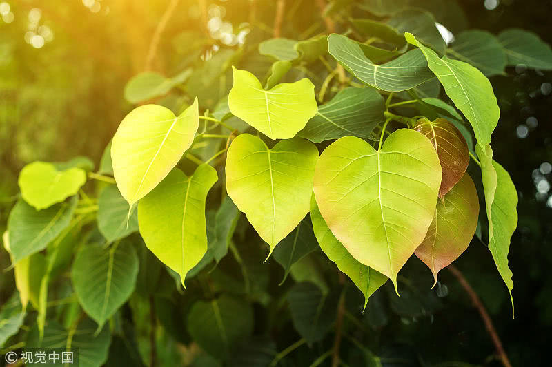 ky开元·(中国)集团官网