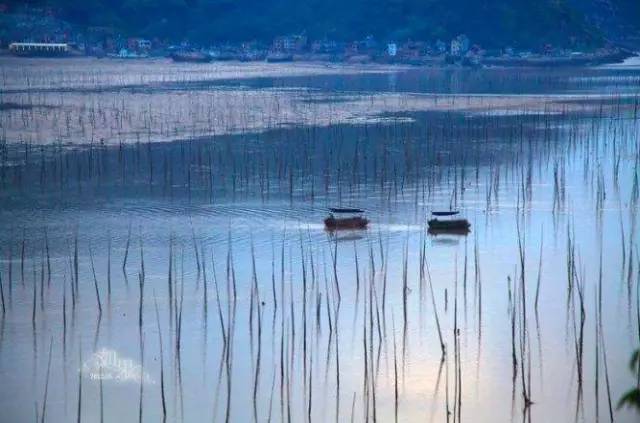 ky开元·(中国)集团官网