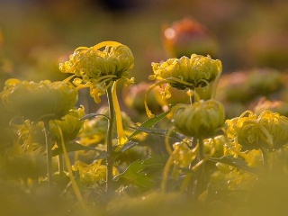 ky开元集团官网入口