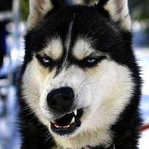 ky开元·(中国)集团官网