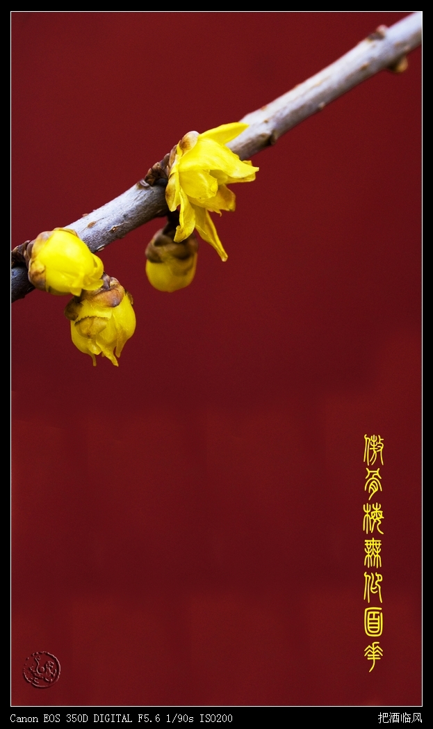 ky开元·(中国)集团官网