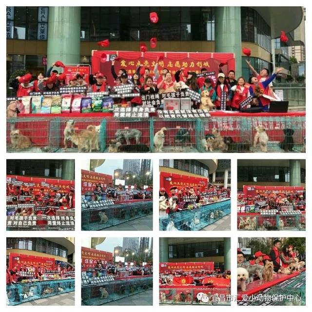 KY开元·(中国)集团