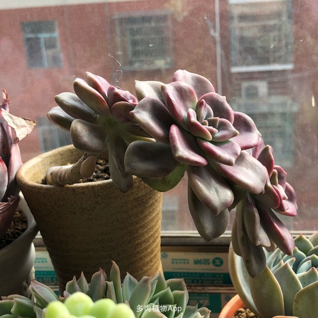 KY开元·(中国)集团