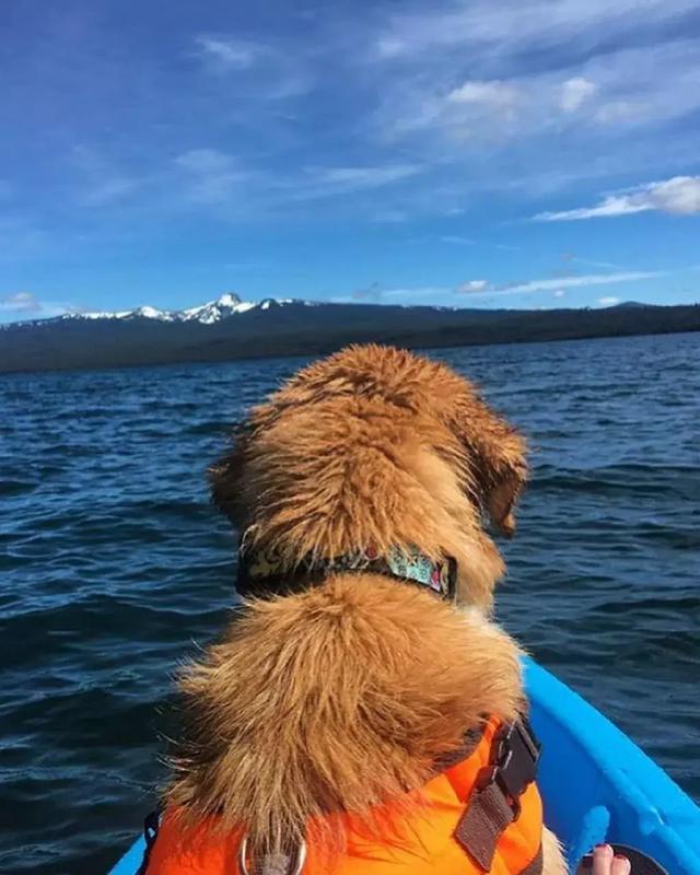 KY开元集团官网